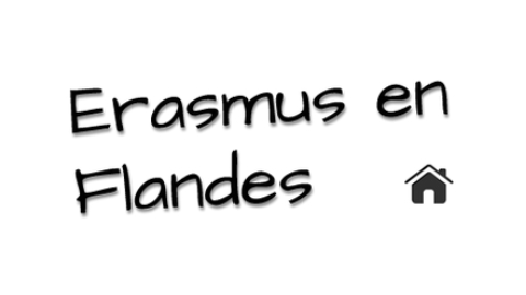 erasmus-flandes